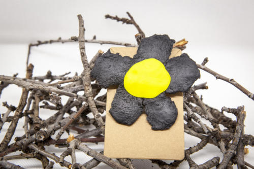 Broches 8 de Mayo de 2021