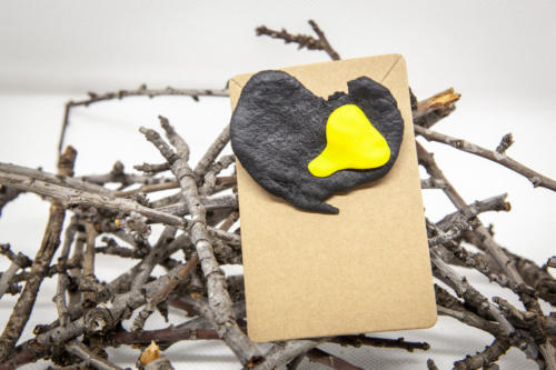 Broches 8 de Mayo de 2021