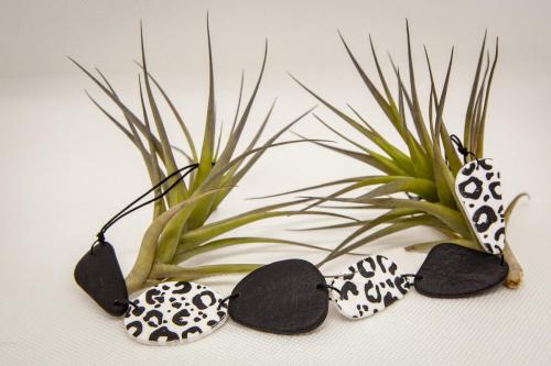 Collares Octubre 2022