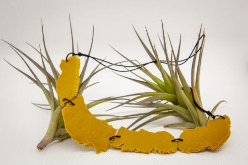 Collares Octubre 2022