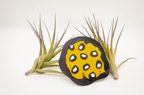 Broches Octubre 2022