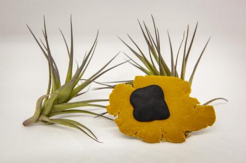 Broches Octubre 2022