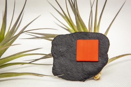 Broches Octubre 2022