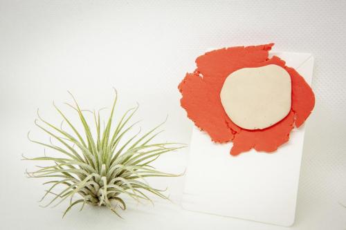 Broches 3 de Junio de 2021