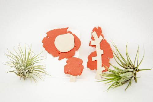 Broches 3 de Junio de 2021